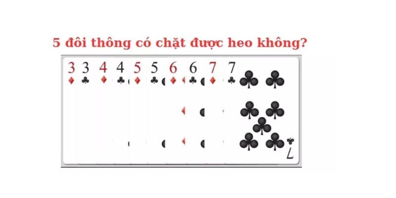 5 đôi thông có chặt heo được không